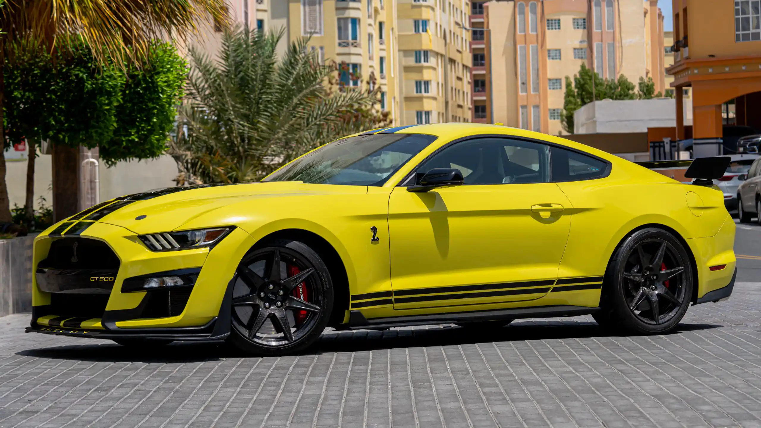 Ford Shelby GT500